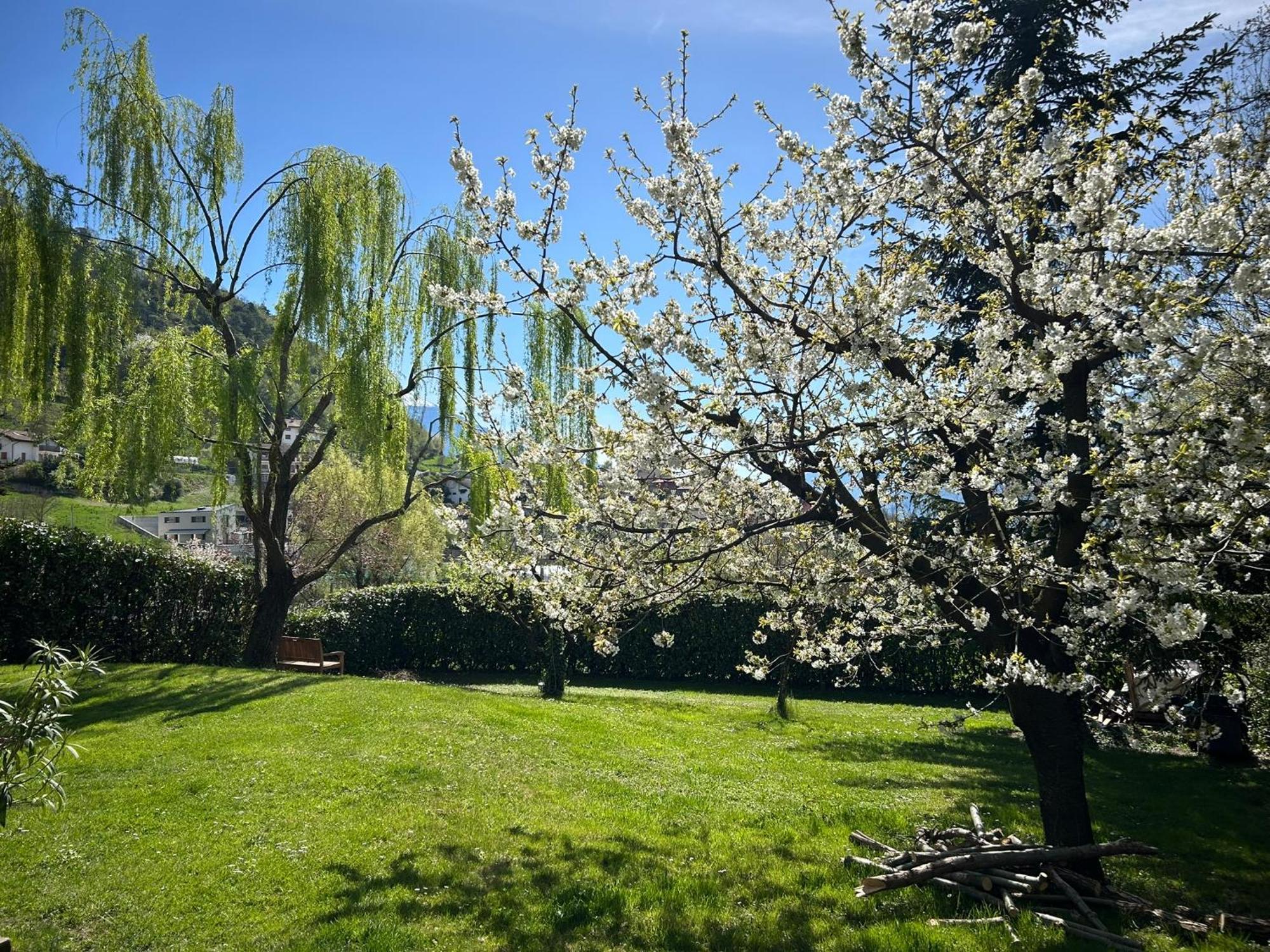 Holliday Charming Home Trento Exteriér fotografie